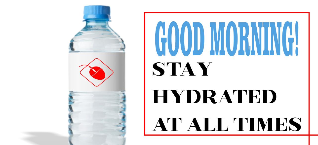 products offered by instaposters